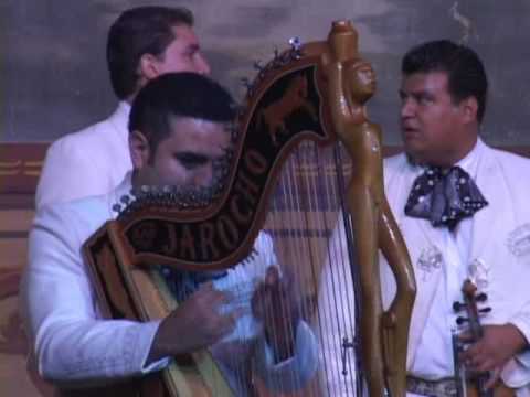 SONES DE VERACRUZ - MARIACHI NUEVO TECALITLAN