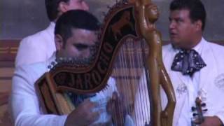 Video Sones De Veracruz de Mariachi Nuevo Tecalitlán