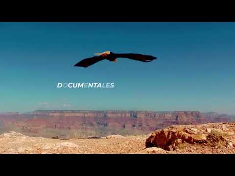 ¿Cómo se ve la tierra desde el cielo? No te pierdas en Documentales de la BBC