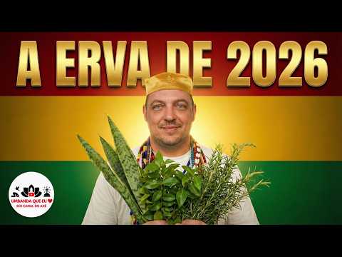 New Year's Ritual in Umbanda: The Bath to Open Paths