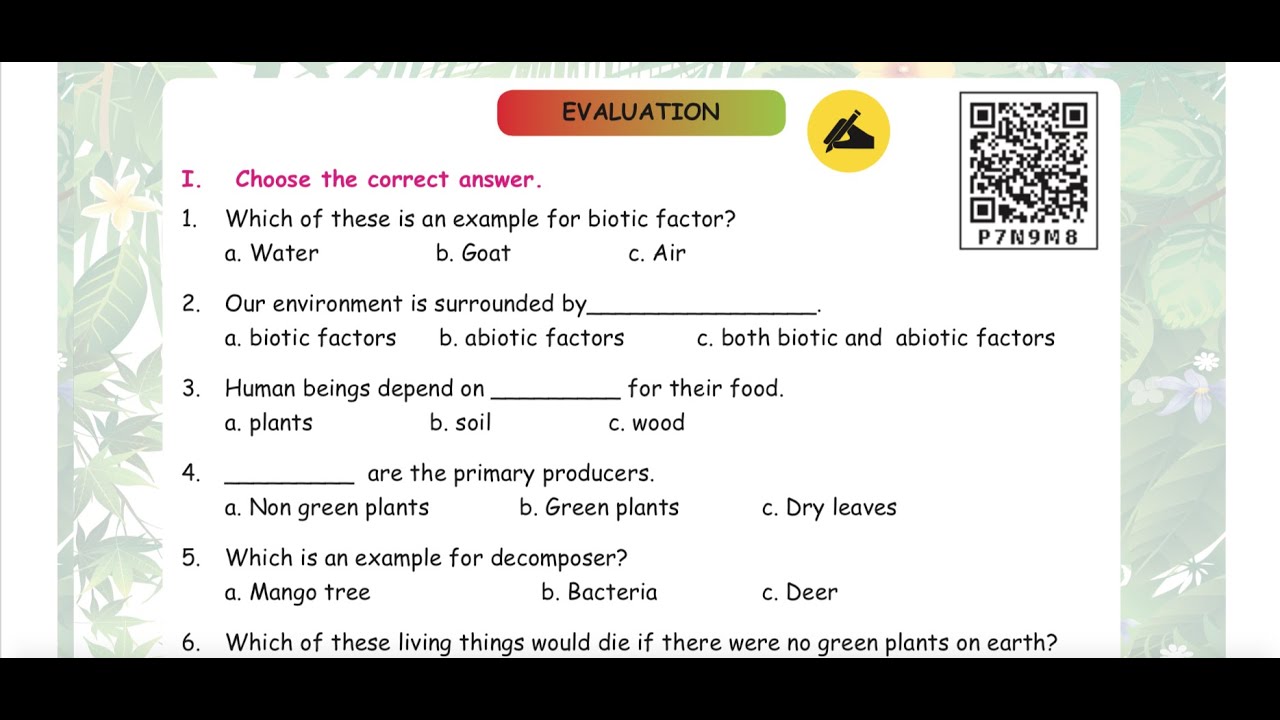 3 rd SCIENCE - TERM 3 - UNIT 1 - OUR ENVIRONMENT - EVALUAVATION