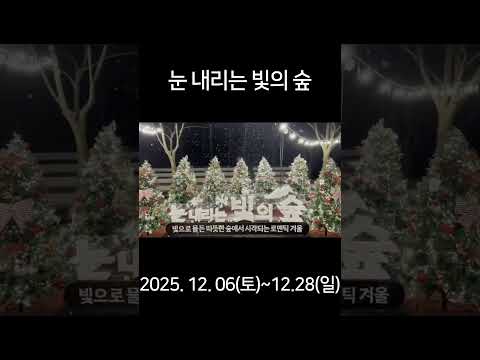 눈 내리는 빛의 숲 #대가야수목원