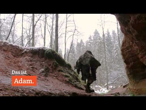 Adam macht Werbung – mit FAKTOR 1