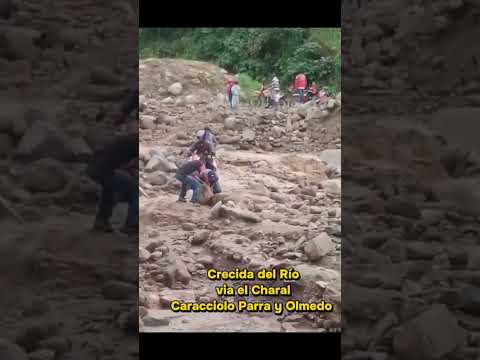 Crecida del Río el Charal Municipio Caracciolo Parra y Olmedo Estado Mérida #lluvia #rio #semanasan