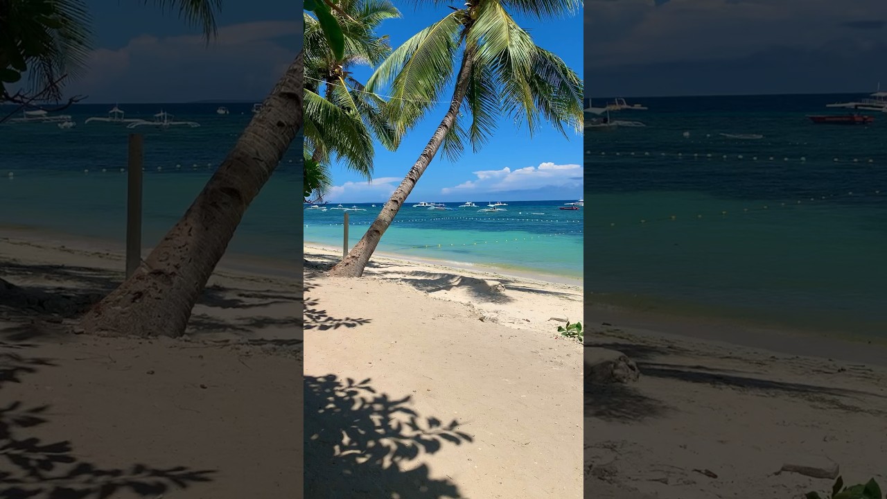 YouTube Short thumbnail