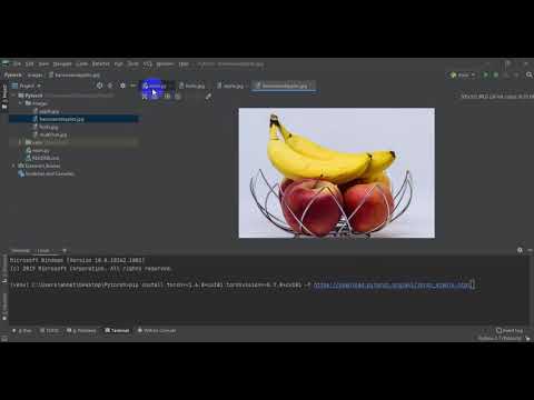 ObjectDetectionPytorch