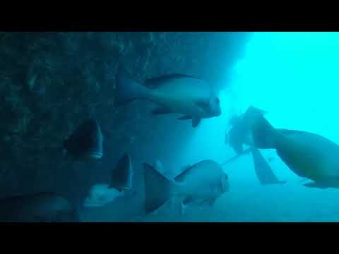 download lagu mp3 mp4 Quetta Wreck, download lagu Quetta Wreck gratis, unduh video klip Quetta Wreck