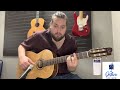 Godin Concert 049646000464