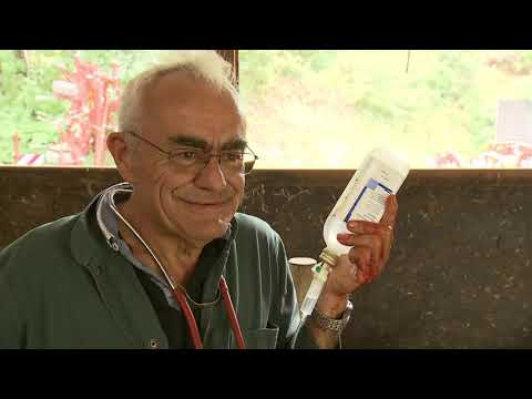 Veterinarian shortage in rural areas | BR24