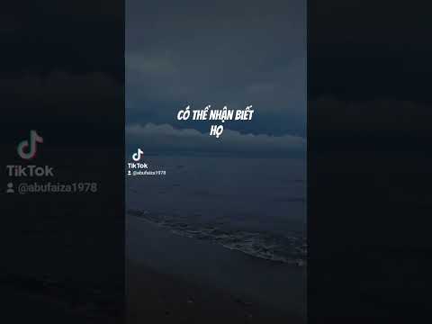 #200 LÀM TỪ THIỆN ĐỪNG MONG ĐỢI TRẢ ƠN