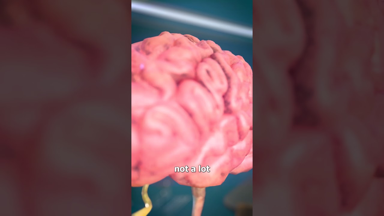 Your Brain Generates Electricity 😮