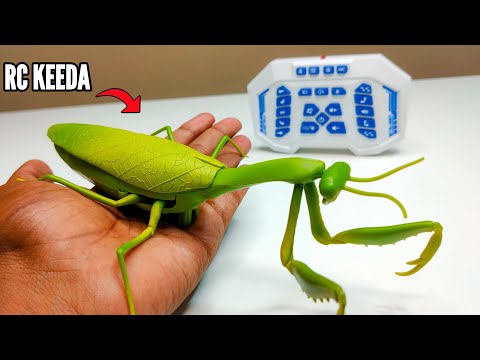 RC Realistic Prank Gadget Mentis Fastest Keeda Unboxing & Testing - Chatpat toy tv