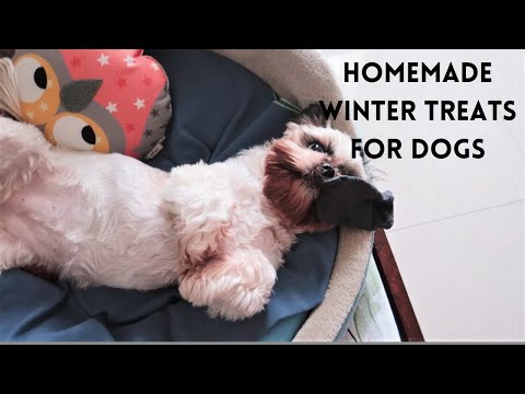 Homemade winter treats for dogs | What I feed my puppies in winter afternoon Video