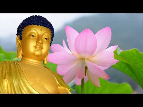 VĂN NGHỆ CÚNG DƯỜNG GĐPT KẾ SUNG PL2561