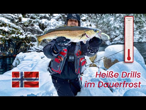 Winter Pollacks - Angeln auf Schnee und Glatteis in Norwegen