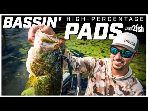 Bass Fishing Lily Pads | Find High-Percentage Spots