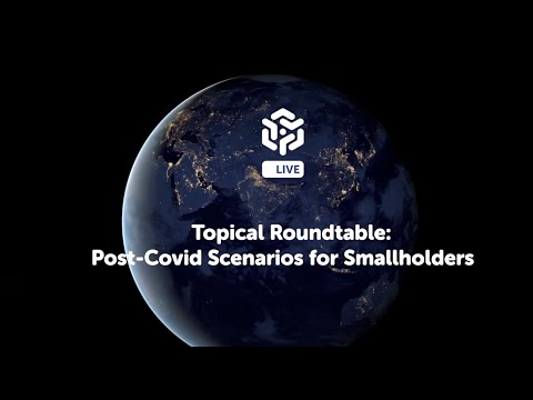 Post-Covid Scenarios for Smallholders