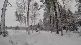 preview picture of video 'Walking: Aviemore, Scotland'