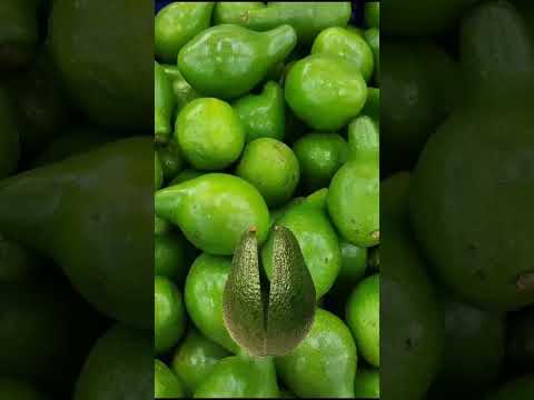 #FRESHAVOCADO#MAGICTRICKS#FUNNYSHORTS#VIRAL#GOODVIBESONLY