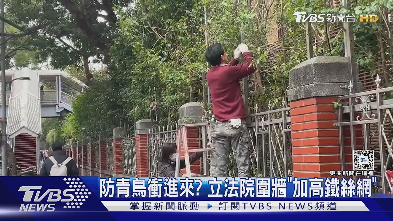 防青鳥衝進來? 立法院圍牆「加高鐵絲網」