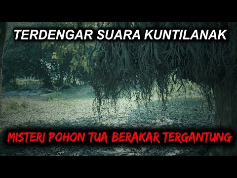 🔴 93- MISTERI POHON TUA BERAKAR GANTUNG