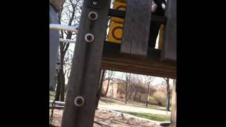 preview picture of video 'Avalon Park, Chicago IL (IMG_0575.MOV)'