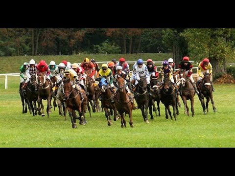 Velká pardubická 2017