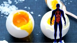 If You Consume Three Eggs Every Day THIS What Happens To Your Body!