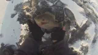 preview picture of video 'November Ice: Bull Gills on the Mississippi River'
