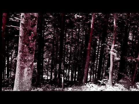 Idisenfluch  - Nichts Waehrt Ewig