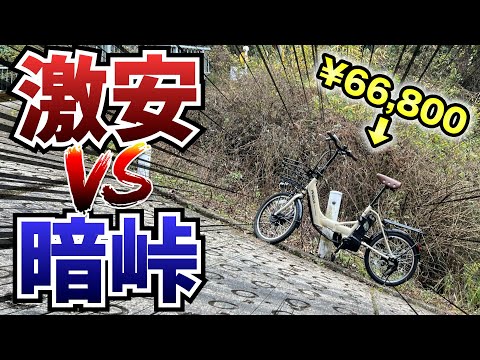 Eleglide M1 Plus:我尝试过便宜的智能电动车