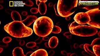 علم مجرد الكرات النارية الفضائية