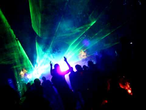 Forest Star Festival- FLYH