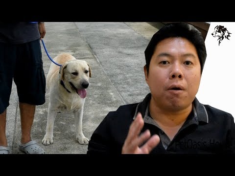 ครีมสำหรับโรคสะเก็ดเงินด้วยวิตามิน D และ ไม่ถ้ำเกลือในโรคสะเก็ดเงิน