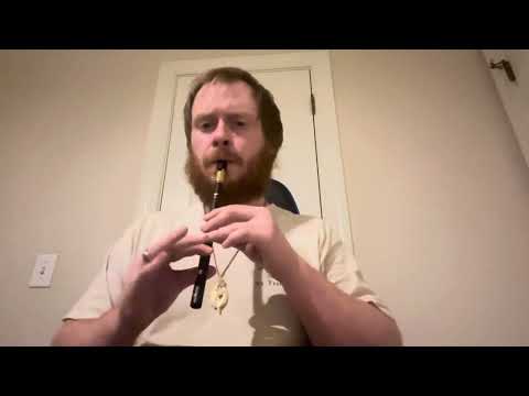 Lir vs Wild Irish Tin whistle.