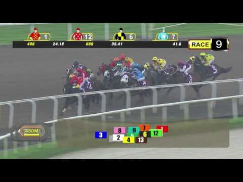 Merlion Trophy 2017 (Infantry)