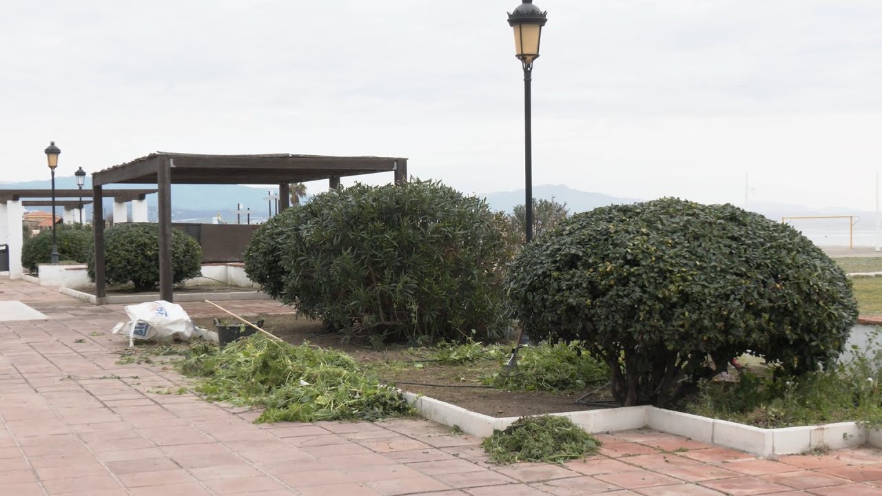 Refuerzo en Parques y Jardines a través de Andalucía Activa