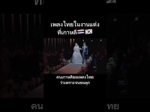 คนเกาหลีชมเพลงไทยว่าเพราะจนขนลุก 🇰🇷🇹🇭 #เขยไทย #สะใภ้เกาหลี #ลุงยูเกาหลี