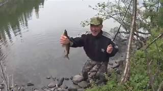 Рыбалка на кольском полуострове хариус