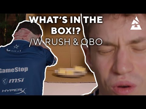 "IS THAT AN ANIMAL?!" Obo and RUSH from  @Complexity Gaming  play a game of What's in the Box 📦