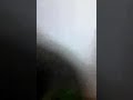 Midinho
