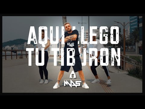 Aquí Llego Tu Tiburón (remix) - Fer Palacio | Marlon Alves Dance MAs