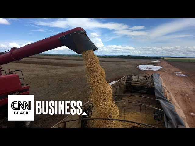 Entenda como crise na Rússia e Belarus encarece os fertilizantes para o Brasil | CNN PRIME TIME