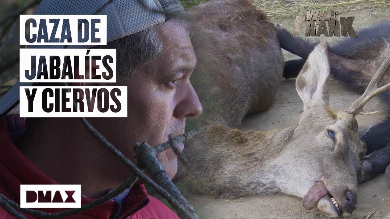 Wild Frank muestra cómo es un día de caza mayor en España | Wild Frank