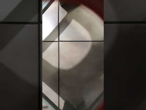 鋼琴600小時：161 Mazurka