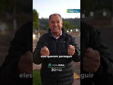Crescimento da população de javalis gera alerta