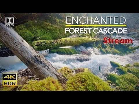 4K HDR Enchanted Forest Cascading Stream + Forest Ambience Birds. Relaxing HDR TV Nature Video