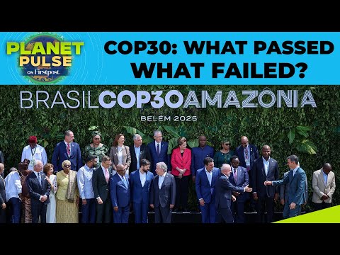 Brazil COP30 Summit: Major Deals Announced, But Fossil Fuels Take Backstage | Planet Pulse | N18G