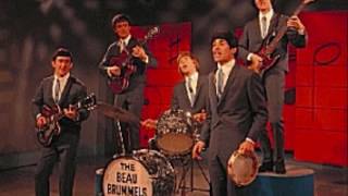 THE BEAU BRUMMELS- &quot;LAUGH, LAUGH&quot;(LYRICS)