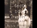 Bill Frisell - Rain Rain